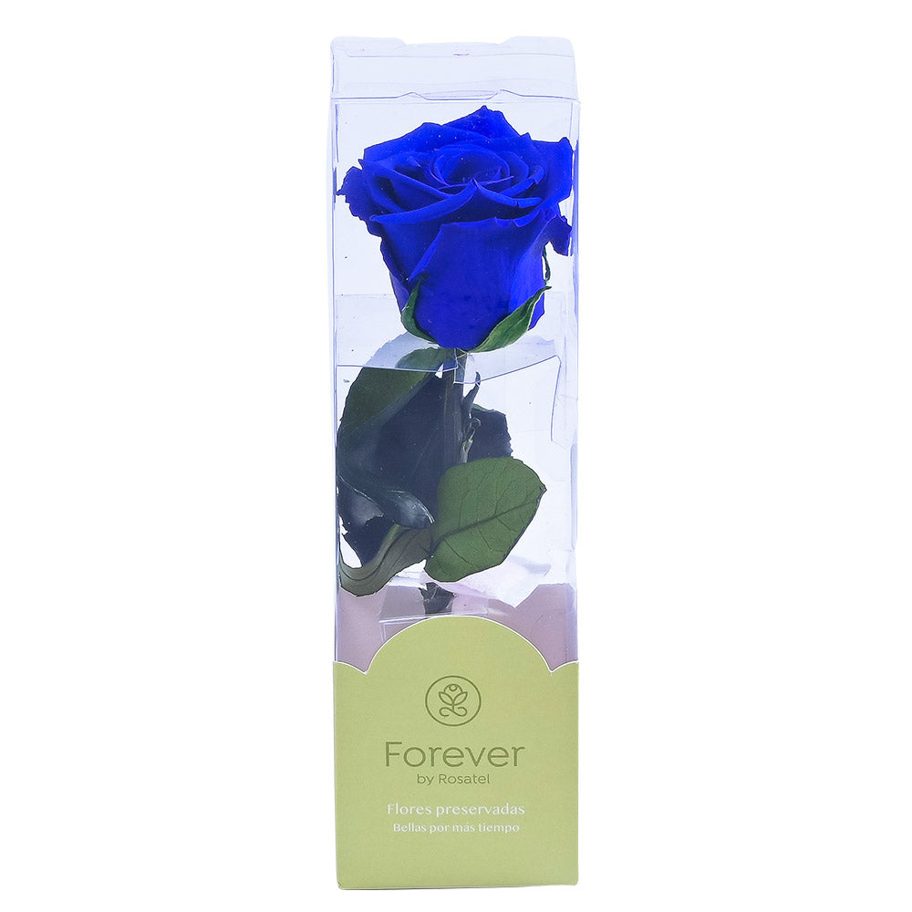 Rosa Preservada Natural Short Azul en Caja Acrílica