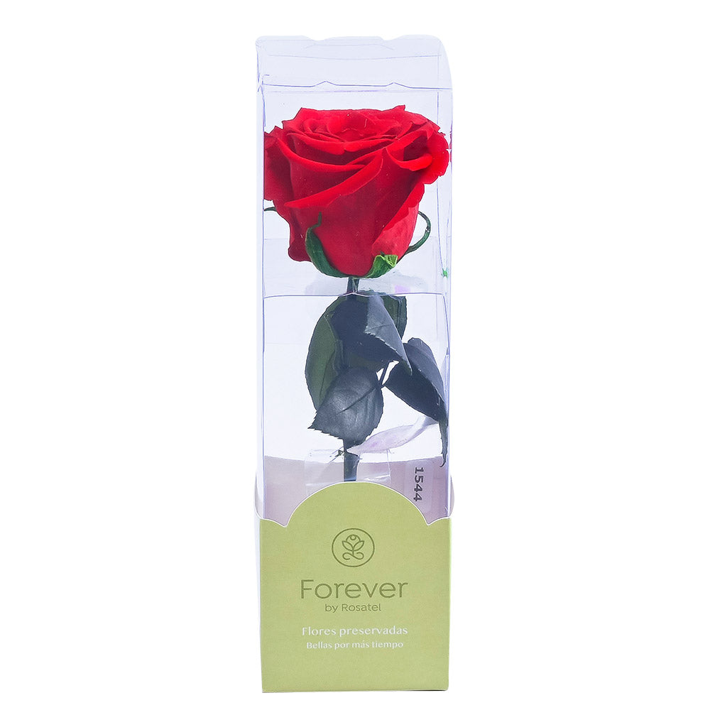Rosa Preservada Natural Roja en Caja Acrilica - Forever PE
