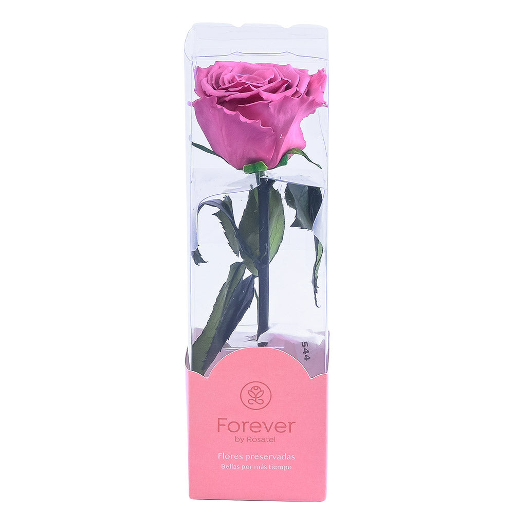 Rosa Preservada Natural Violeta en Caja Acrílica - Forever PE