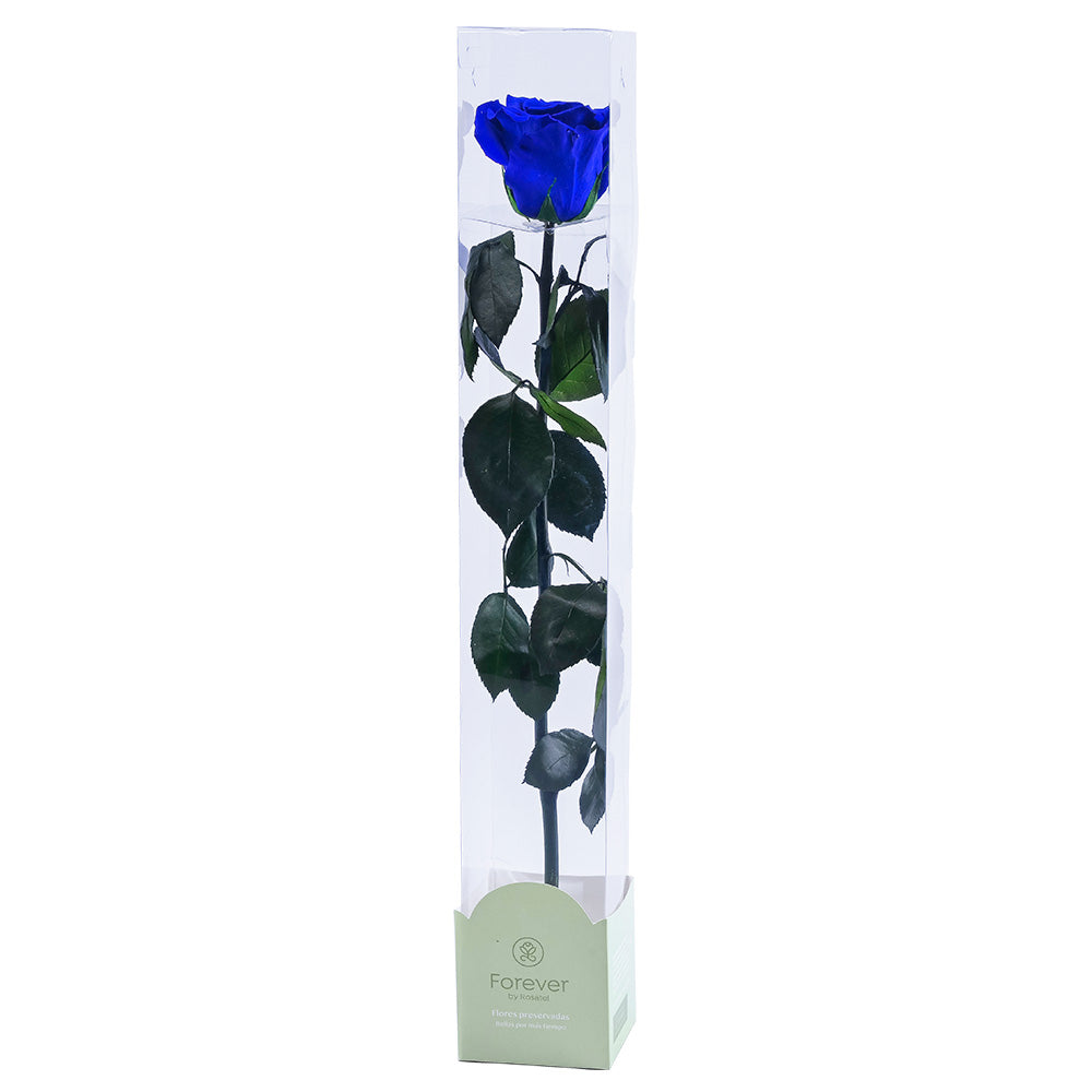 Rosa Preservada Natural Azul en Caja Acrílica
