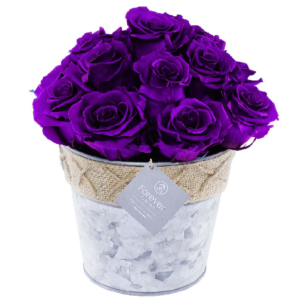 Arreglo Rústico con 15 Rosas Preservadas Púrpuras