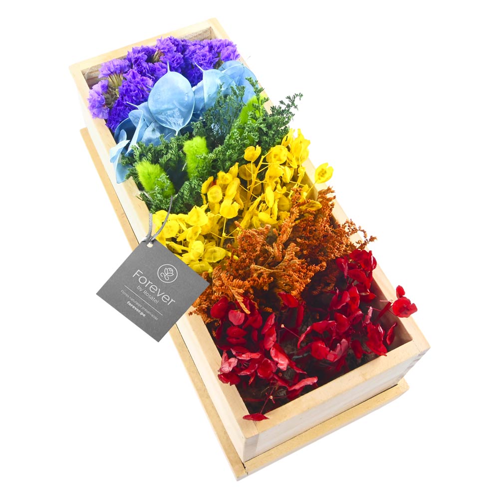 Caja de flores preservadas natural